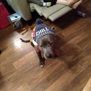 Meet your Posher, Tonya